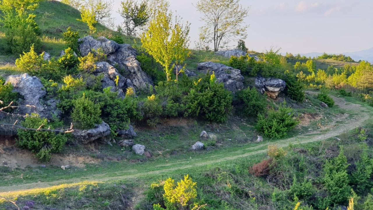 ホテル Бялата Къща Chakalarovo エクステリア 写真